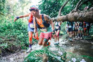 BIB: 
                            <button type="button" onclick="openModal(25450037)" class="btn btn-primary btn-sm float-right btn-popup" data-toggle="modal" data-target=".modal-high-quality">
                        <i class="fas fa-shopping-cart"></i> Add to Cart
                    </button>
                                            <button type="button" onclick="isThisMe(25450037, true)" class="btn btn-success btn-sm float-right btn-popup btn-isme hidden" data-toggle="tooltip" data-placement="bottom" title="นี่คือรูปของคุณใช่ไหม คลิกที่นี่เพื่อเอาเข้าอัลบั้ม">
                        <i class="fas fa-plus"></i> Add to album
                    </button>
                    <button type="button" onclick="isThisMe(25450037, false)" class="btn btn-warning btn-sm float-right btn-popup btn-isnotme hidden">
                        <i class="fas fa-ban"></i> Remove from album
                    </button>